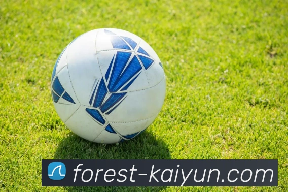 开云app服务体系